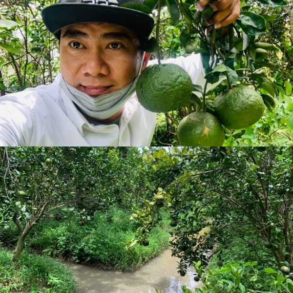  
Trương Đan Huy kinh doanh trái cây để tạo thu nhập trong cuộc sống. (Ảnh: FB Trương Đan Huy)