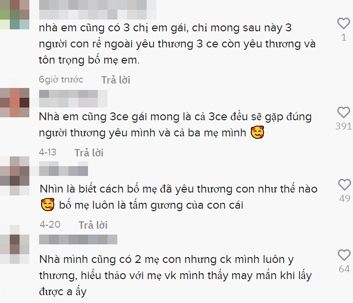  Dân mạng nhận định, gia đình rất may mắn khi có những chàng rể như vậy. (Ảnh: Chụp màn hình TikTok O.)