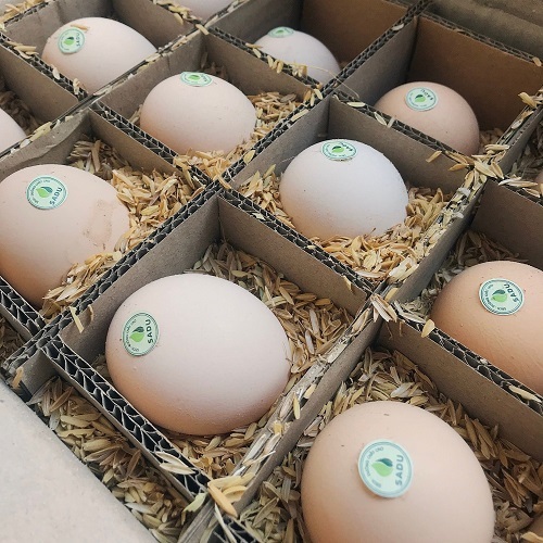  
Một hộp 12 quả trứng gà Sadu có giá 99.500đ. (Ảnh: CheckVNMart)