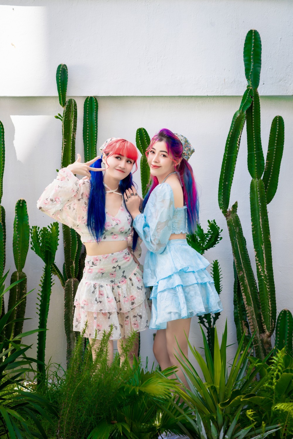    Cả hai mỗi khi gặp nhau sẽ rất nhí nhố.