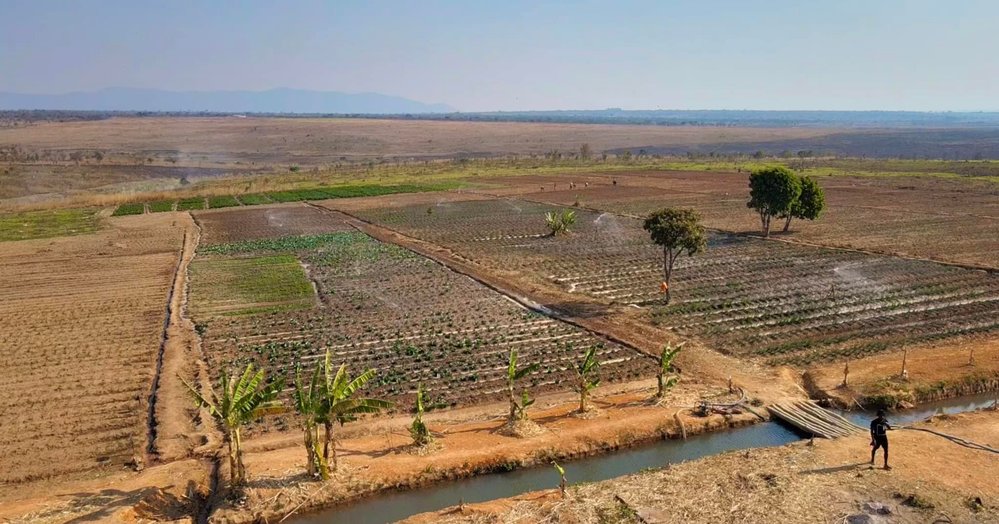 Quang Linh khoe nông trại xanh mướt ở châu Phi sau 3 tháng cải tạo