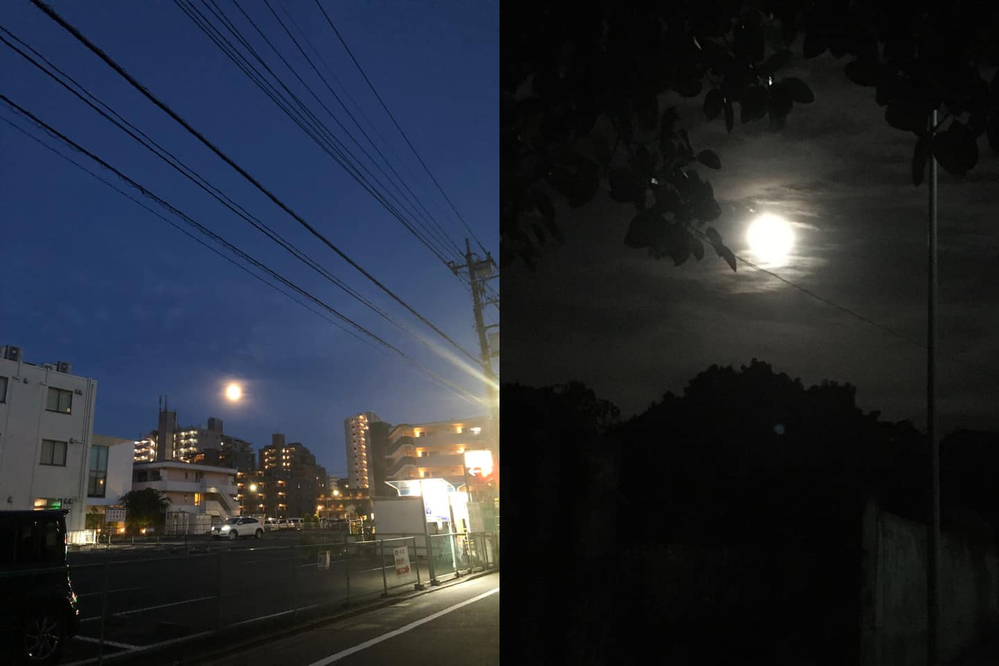 Siêu trăng gây sốt vì quá đẹp: Tròn vành vạnh trên bầu trời Sài Gòn