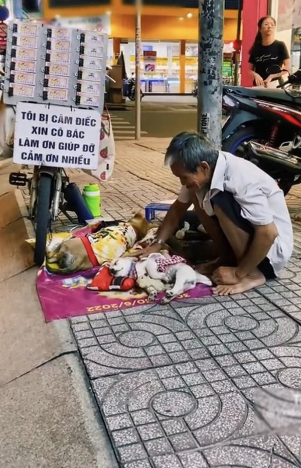  Ông Sơn xem chó cưng như người thân không thể thiếu của mình. (Ảnh: Chụp màn hình TikTok L.X.Đ)