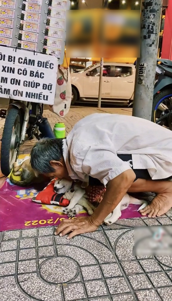  Cụ ông không ngại thơm những chú chó cưng của mình ngay trên phố. (Ảnh: Chụp màn hình TikTok L.X.Đ)