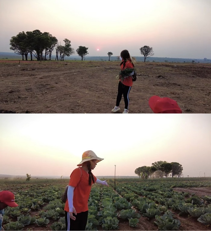  
Khung cảnh bao la, rộng lớn trong trang trại 2,3 tỷ của Quang Linh. (Ảnh: Cắt từ YouTube Vợ Chồng Nhà Nhân - JP And FAMILY Cuộc Sống Ở Nhật)