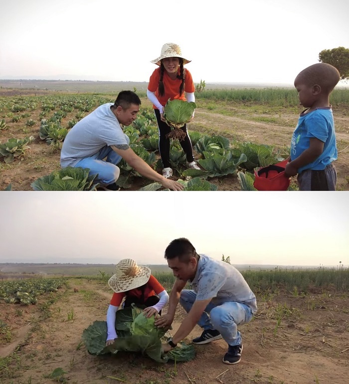  
Đức Nhân vô cùng thích thú trước những chiếc bắp cải siêu to khổng lồ này. (Ảnh: Cắt từ YouTube Vợ Chồng Nhà Nhân - JP And FAMILY Cuộc Sống Ở Nhật)