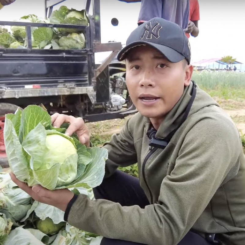  Vì trồng rau cải bắp trái mùa nên chất lượng không như Quang Linh mong đợi. (Ảnh: YouTube Quang Linh Vlogs - Cuộc sống ở Châu Phi)