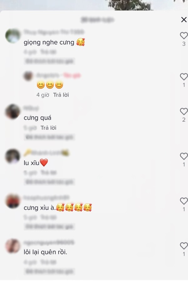  Rất nhiều người là fan của Lôi Con. (Ảnh: Chụp màn hình TikTok A.G.L)