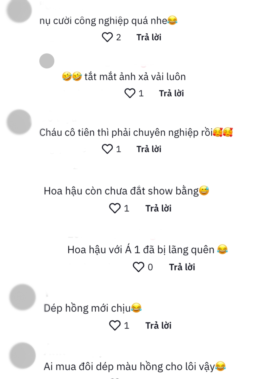  Một số bình luận của người hâm mộ. (Ảnh: Chụp màn hình FB Quang Linh Vlogs)