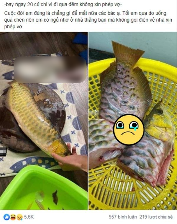  
Cũng là cá mà cá này thì các anh lại không dám ăn... (Ảnh: Chụp màn hình FB T.Đ)