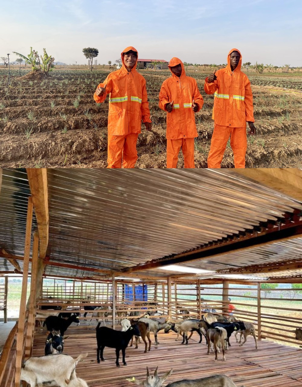  
Nam YouTuber cho biết bản thân không dễ dàng gì khi làm nông nghiệp tại châu Phi. (Ảnh: FB Quang Linh Vlogs)