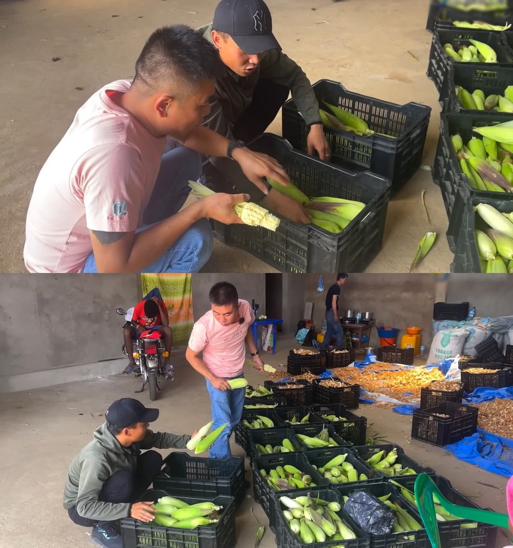  Nguyễn Tiến ngồi giám sát Quang Linh đếm từng bắp ngô. (Ảnh: Chụp màn hình YouTube Nguyễn Tiến)