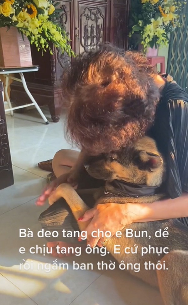 
Suốt 5 ngày qua chú cún đều không ăn, không uống gì. (Ảnh: Cắt từ TikTok L.H.T)