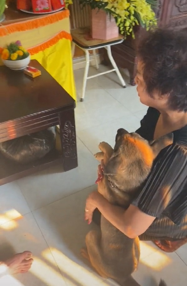 
Hình ảnh khiến nhiều người xúc động về sự trung thành của chú cún này. (Ảnh: Cắt từ TikTok L.H.T)