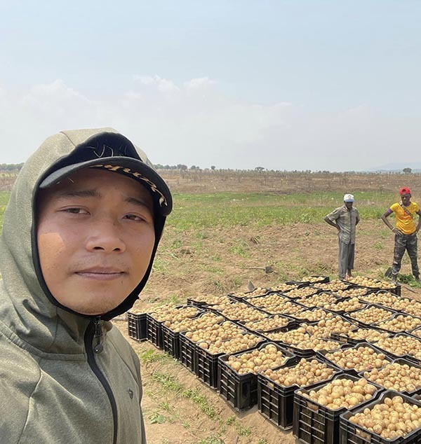  
Quang Linh khoe thành quả thu hoạch khoai tây vụ mùa đầu tiên rất năng suất. (Ảnh: Chụp màn hình YouTube Quang Linh Vlogs)