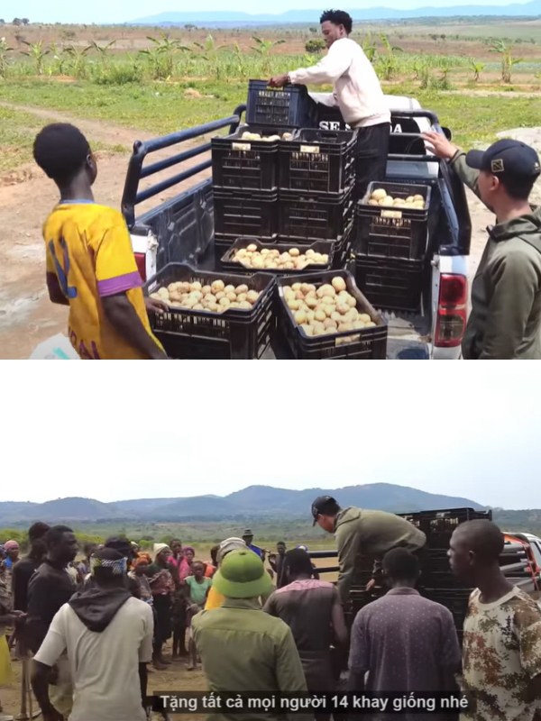  Quang Linh tặng bà con lứa khoai đầu tiên làm giống để trồng trọt. (Ảnh: Chụp màn hình video YouTube Quang Linh Vlogs)