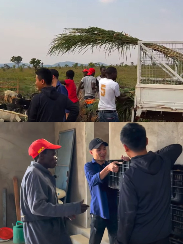  Các anh em Việt Nam và dân bản đã có một "thương vụ trao đổi thành công nhất". (Ảnh: Chụp màn hình YouTube Quang Dũng Vlogs - Cuộc Sống ở Châu Phi)
