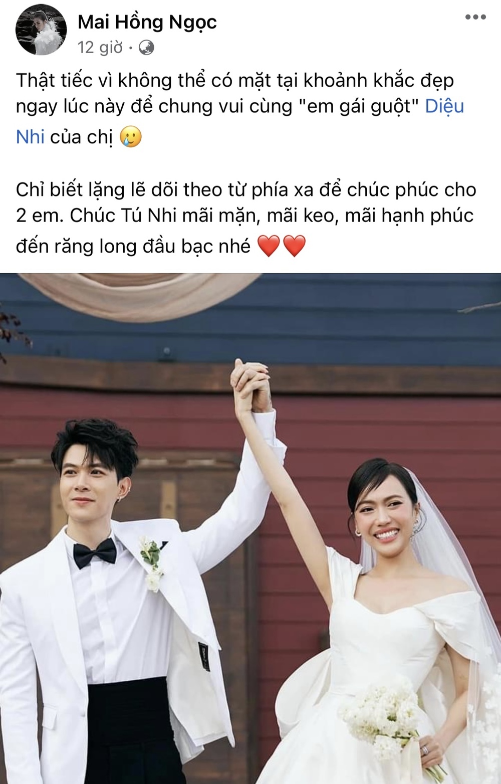  
Bà xã Ông Cao Thắng tiếc nuối, thông báo không thể tham dự đám cưới Diệu Nhi - Anh Tú. (Ảnh: Chụp màn hình Facebook Mai Hồng Ngọc)