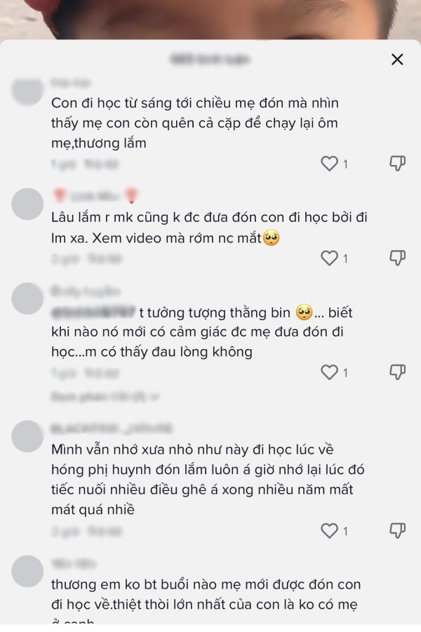  
Câu chuyện nhận được rất nhiều sự quan tâm của mọi người. (Ảnh: TikTok T.H)
