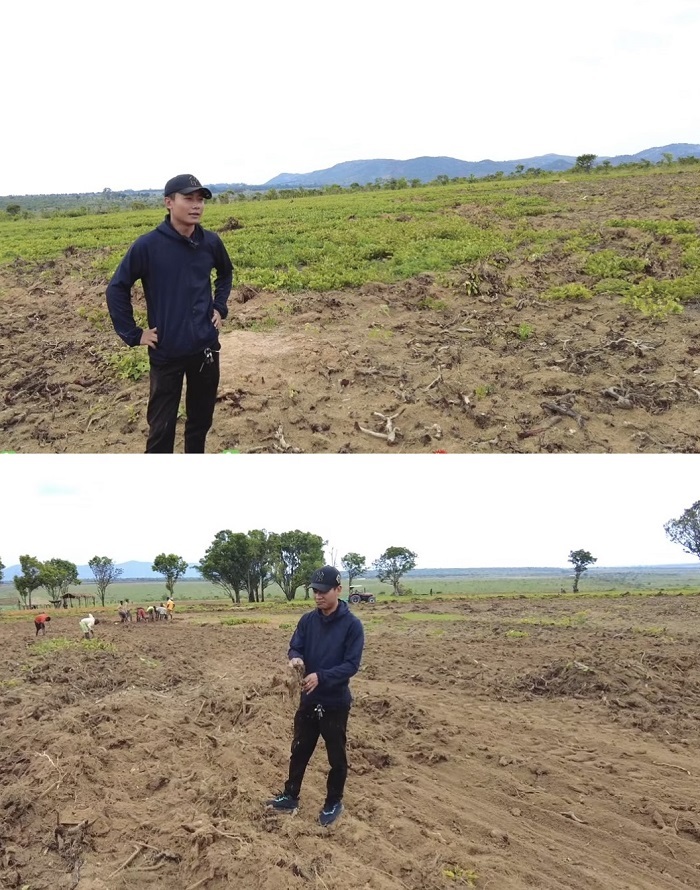 Phần đất trồng cỏ cho dê ăn có quá nhiều rễ cây, hiện tại chưa kịp cải tạo xong trong vụ mùa mới. (Ảnh: Cắt từ clip YouTube Quang Linh Vlogs - Cuộc sống ở Châu Phi)