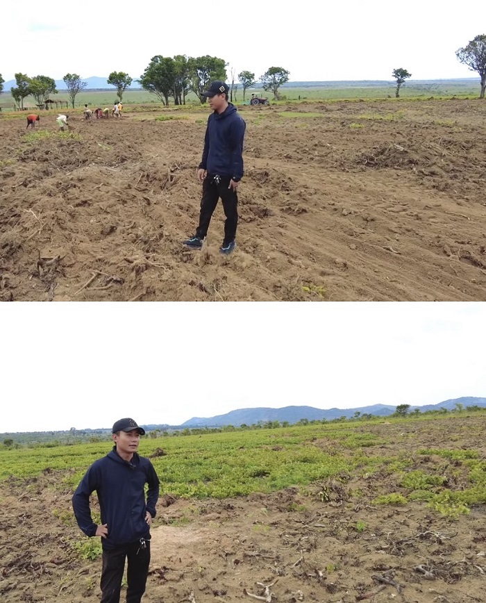 Quang Linh cũng đang ấp ủ dự định trồng ngô để xuất khẩu. (Ảnh: Cắt từ clip YouTube Quang Linh Vlogs - Cuộc sống ở Châu Phi)