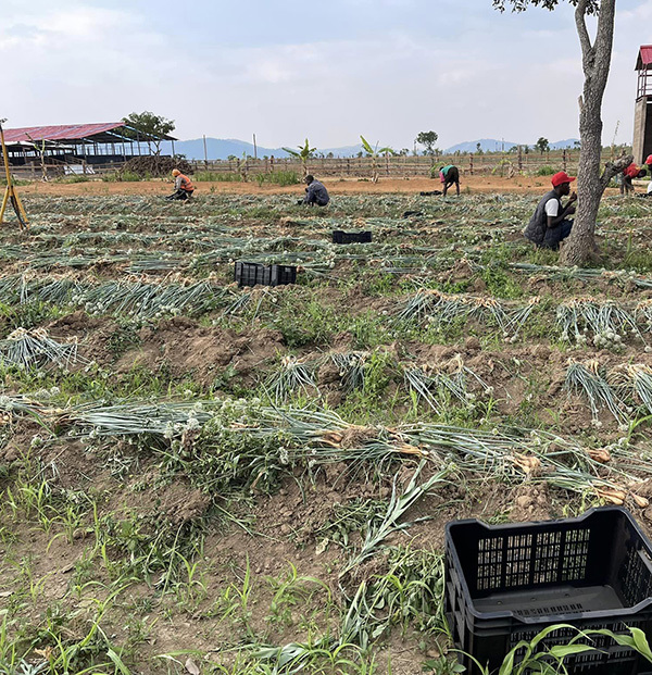  Mọi người cũng đưa ra nhiều ý kiến đóng góp để mùa vụ sau Quang Linh sẽ gặt hái được nhiều thành công hơn. (Ảnh: FB Quang Linh Vlogs)