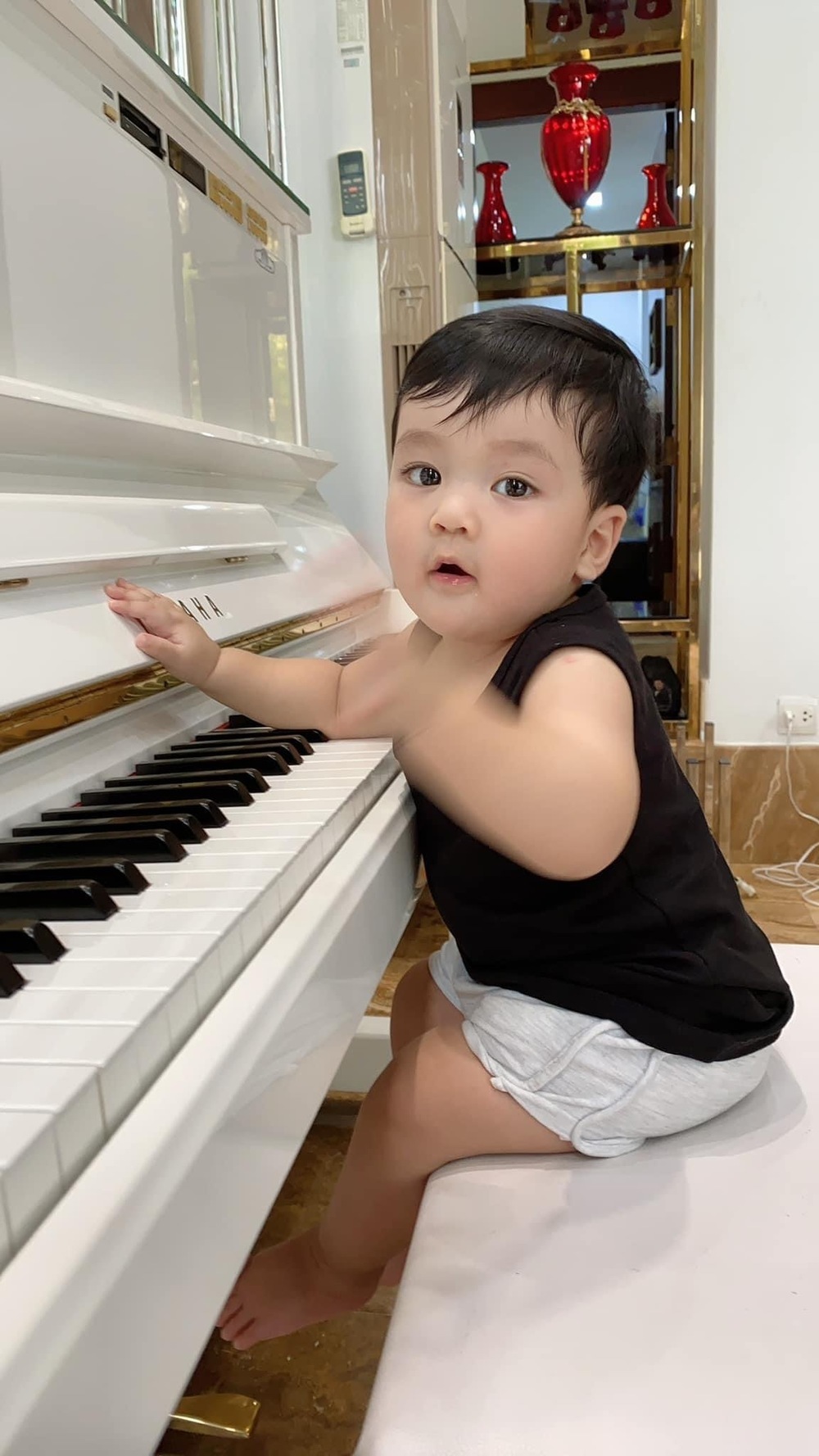  
Bé Polo trộm vía cực kỳ xinh xắn, đáng yêu. (Ảnh: FB Đàm Vĩnh Hưng)  - Tin sao Viet - Tin tuc sao Viet - Scandal sao Viet - Tin tuc cua Sao - Tin cua Sao