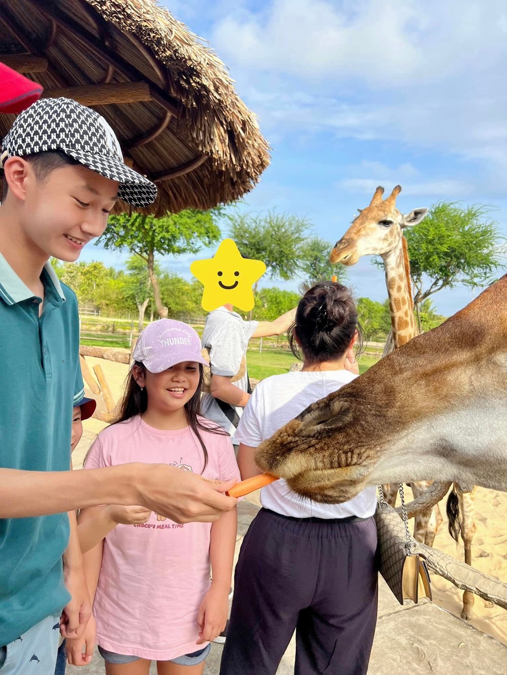 Hình ảnh