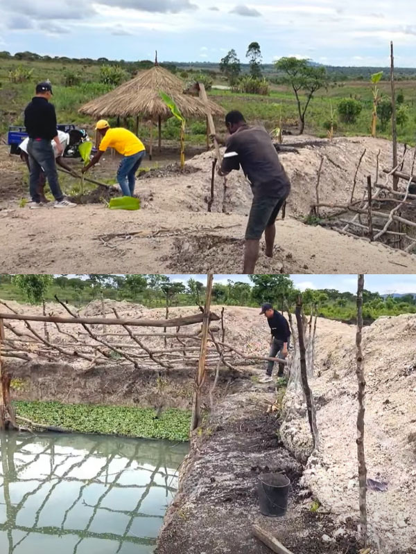  
Anh Linh Philip quy hoạch ao cá kết hợp với trồng nhiều loại cây ăn quả xung quanh. (Ảnh: Chụp màn hình YouTube Linh Philip - Cuộc Sống ở Châu Phi)