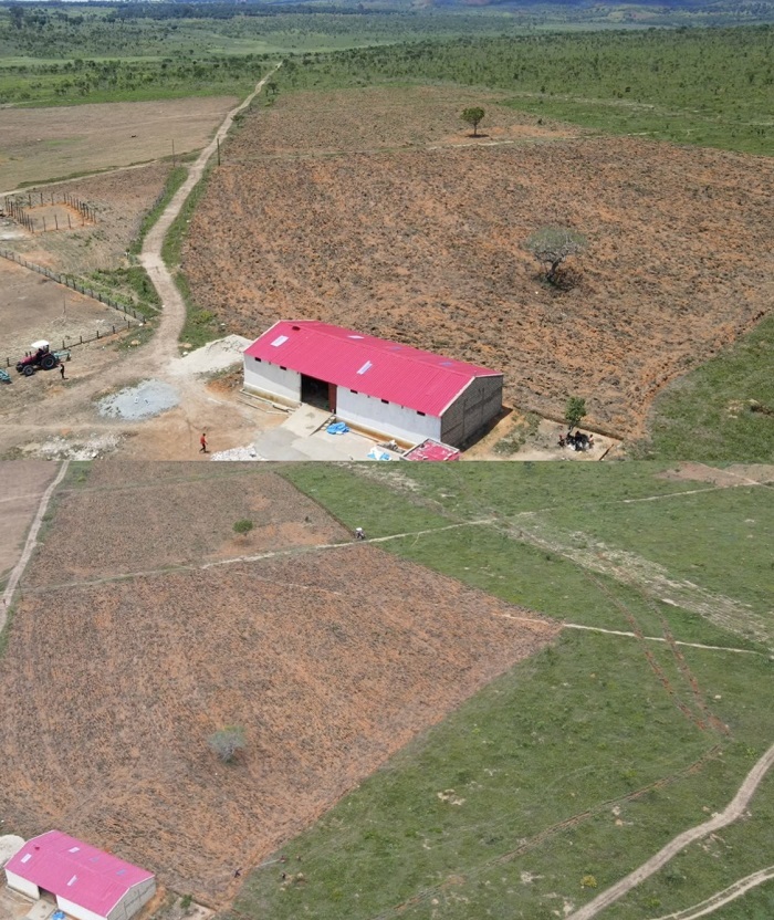  
Quang Linh khẳng định đi bộ quanh trang trại khiến anh chàng bị đuối sức vì đất rất rộng. (Ảnh: Cắt từ clip YouTube Quang Linh Vlogs - Cuộc Sống ở Châu Phi)