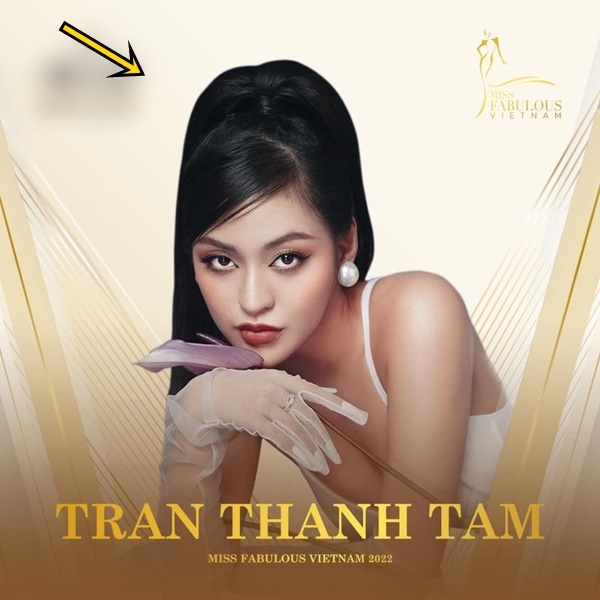  
Trần Thanh Tâm chính thức xác nhận bản thân dự thi Miss Fabulous International 2022. (Ảnh: FB Trần Thanh Tâm)