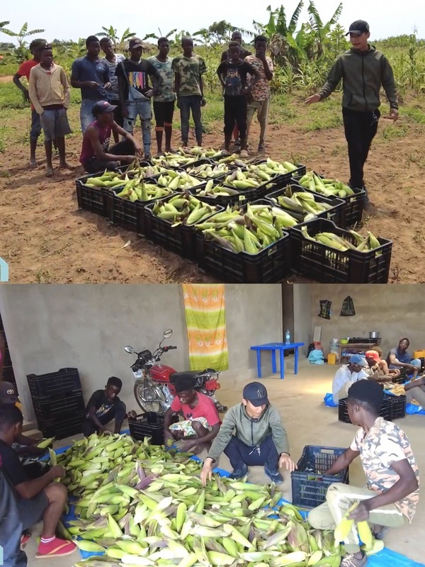  Ngô nếp cũng rất được "săn đón". (Ảnh: Chụp màn hình YouTube Quang Linh Vlogs - Cuộc Sống ở Châu Phi)