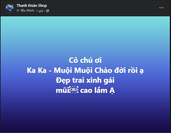  
Dù giấu kín diện mạo nhưng Thanh Đoàn cho biết hai con trộm vía xinh xắn, có mũi cao cực phẩm. (Ảnh: Chụp màn hình Facebook Thanh Đoàn Shop)