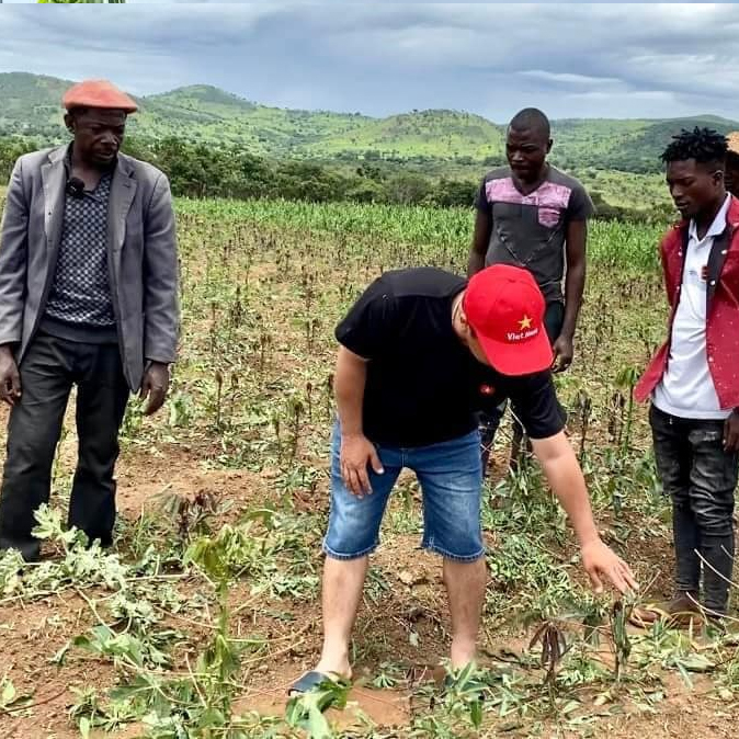 Những cánh đồng thiệt hại nặng, nhiều cây cối bị phá nát vì mưa đá. (Ảnh: Chụp màn hình YouTube Đông PauLo Vlogs - Cuộc Sống ở Châu Phi)