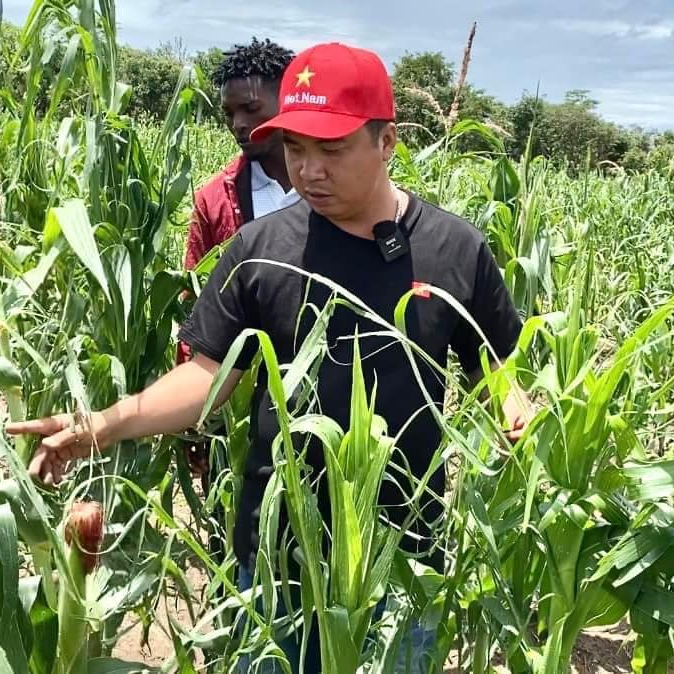 Những cánh đồng của bà con châu Phi bị ảnh hưởng vì mưa đá rất lớn. (Ảnh: Chụp màn hình YouTube Đông PauLo Vlogs - Cuộc Sống ở Châu Phi)