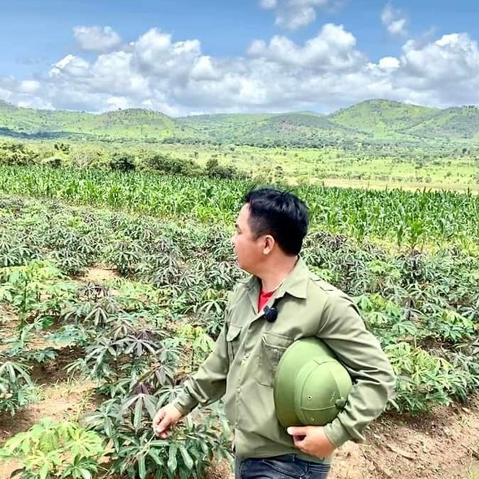 Nhìn cảnh tượng mưa đá phá hủy mùa màng, ai cũng xót xa bởi trước đó cây cối rất tốt. (Ảnh: Chụp màn hình YouTube Đông PauLo Vlogs - Cuộc Sống ở Châu Phi)