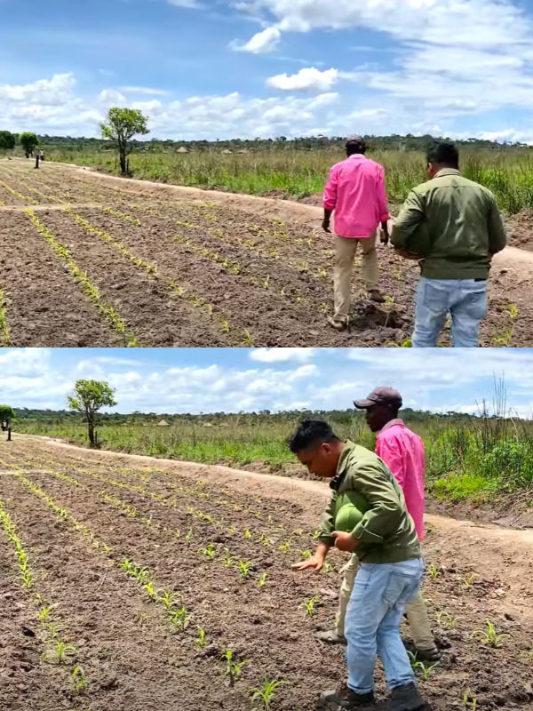 Mọi người siêng năng lao động để mong có cuộc sống mới ấm no hơn. (Ảnh: Chụp màn hình YouTube Đông PauLo Vlogs - Cuộc Sống ở Châu Phi)
