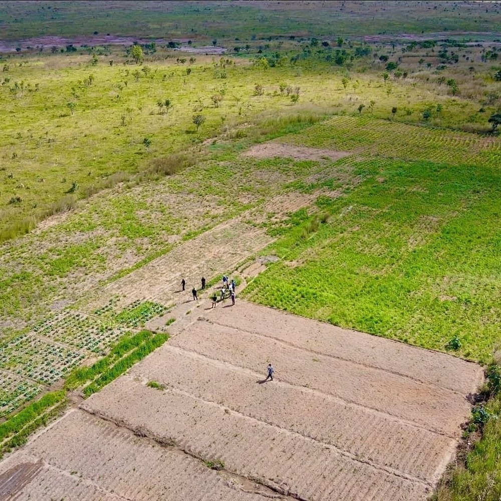  
Trang trại của Quang Linh được phủ kín màu xanh của các loại nông sản Việt. (Ảnh: FB Quang Linh Vlogs)