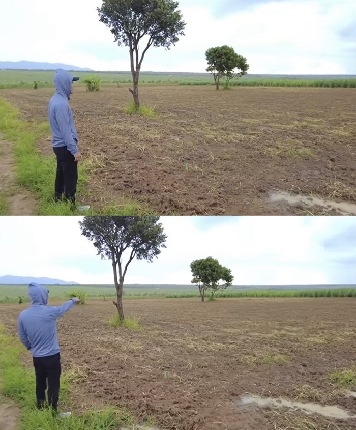  Khu vực Quang Linh dự định sẽ trồng thêm ngô. (Ảnh: Cắt từ clip YouTube Quang Linh Vlogs - Cuộc sống ở Châu Phi)