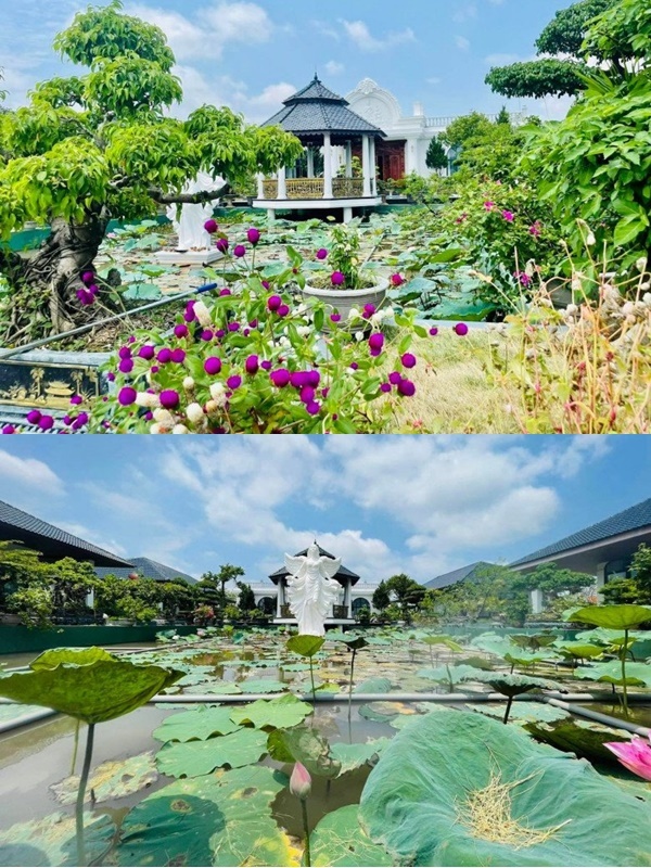  
Trong quá trình xây dựng, gia đình luôn hướng đến việc gần gũi với thiên nhiên. (Ảnh: Beatvn)