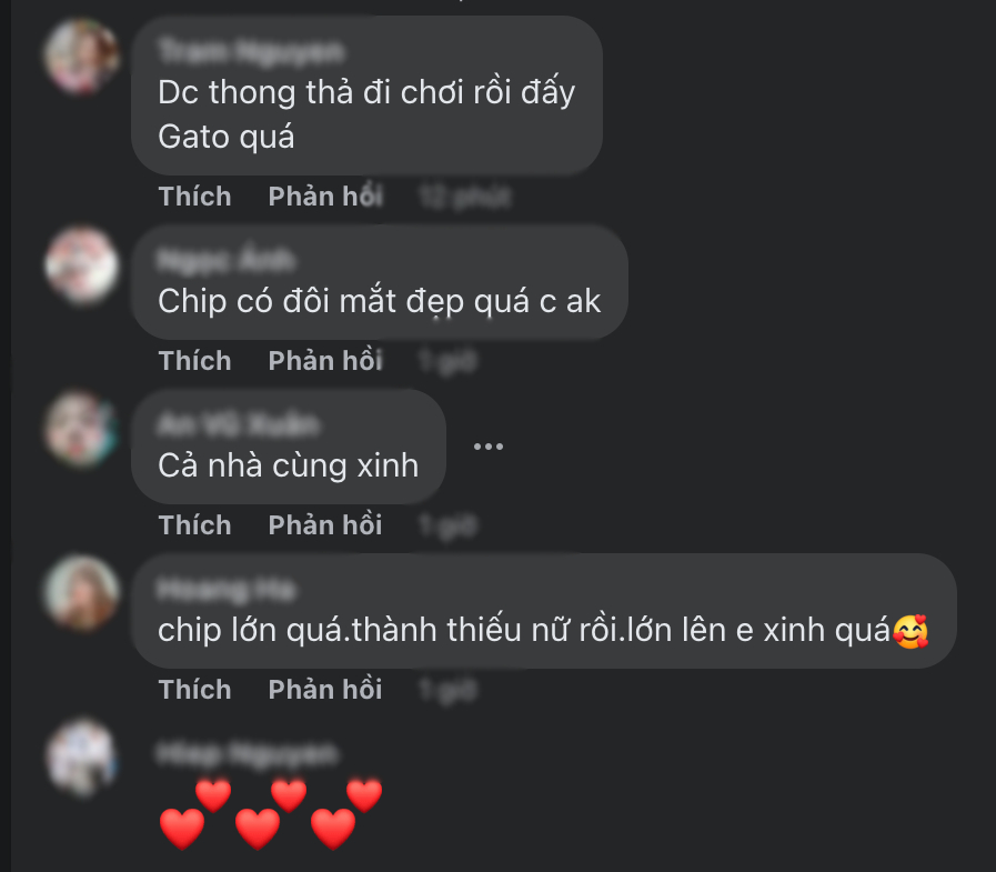  
Khán giả dành nhiều lời khen có cánh cho cả gia đình. (Ảnh: FB Phuong Pham)  - Tin sao Viet - Tin tuc sao Viet - Scandal sao Viet - Tin tuc cua Sao - Tin cua Sao