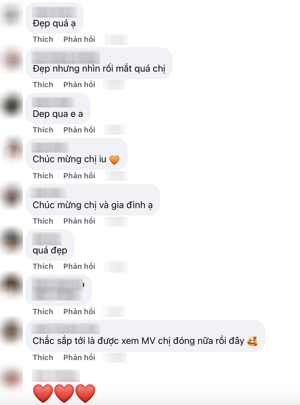  
Người hâm mộ dành lời khen cho gia đình Mai Hồ. (Ảnh: FB Mai Hồ)