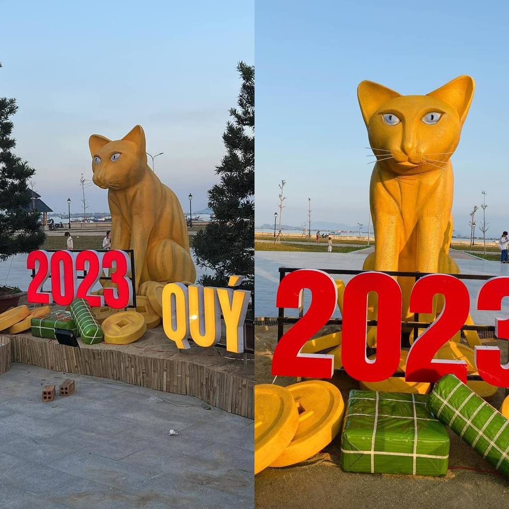  Mèo tại Khánh Hòa mang dáng vẻ rụt rè, không giống như cảm giác hứng khởi chào năm mới. (Ảnh: Vietnamnet)