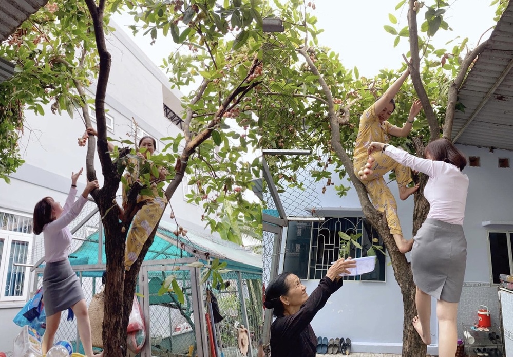  
Còn không ngần ngại leo trèo hái mận cùng gia đình chồng. (Ảnh: FB Quý Bình Lê) - Tin sao Viet - Tin tuc sao Viet - Scandal sao Viet - Tin tuc cua Sao - Tin cua Sao