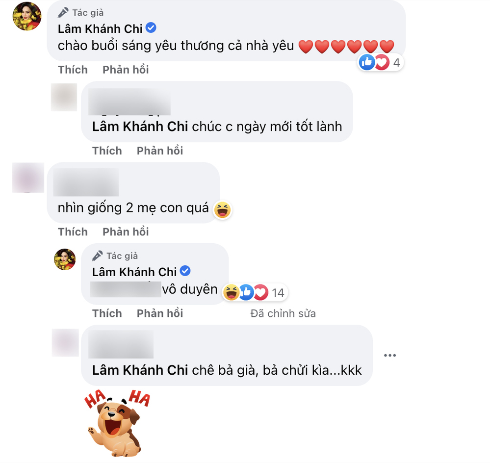  
Lâm Khánh Chi đáp trả gay gắt khi nhận ý kiến trái chiều. (Ảnh: FB Lâm Khánh Chi)