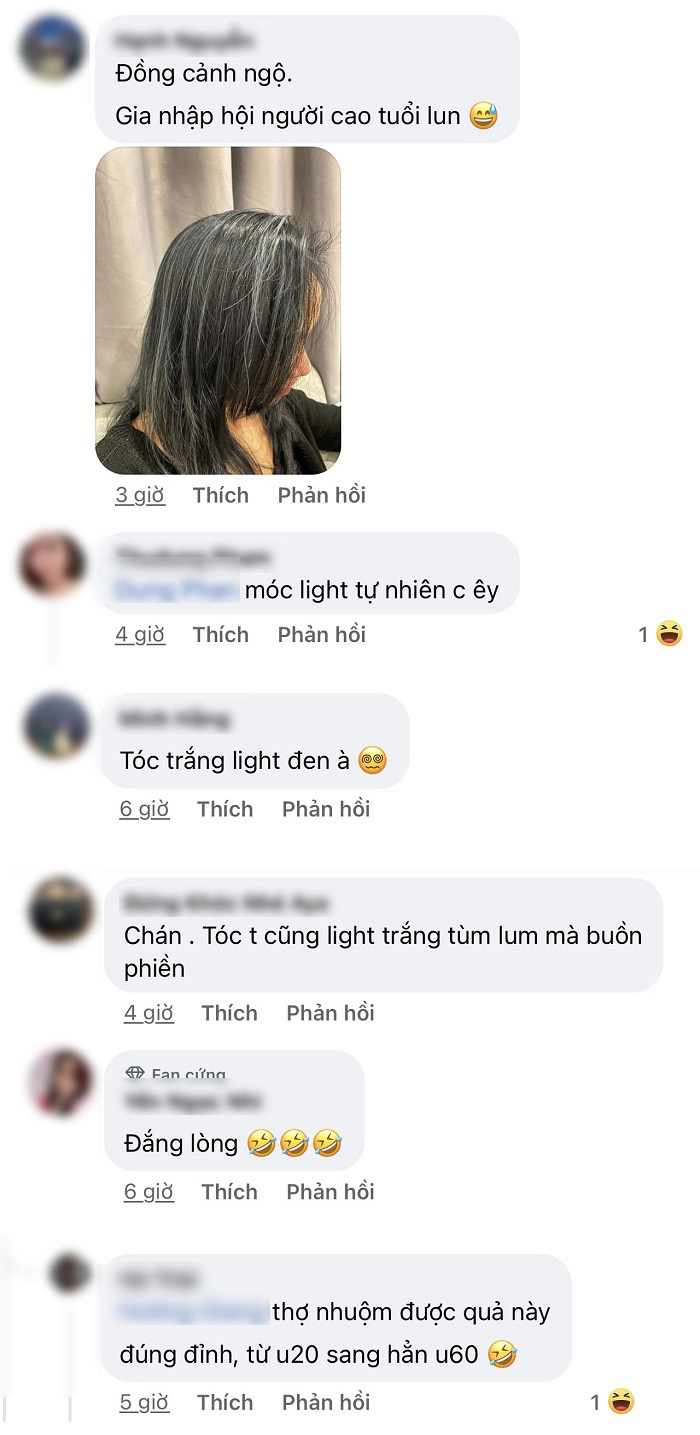 Độc giả không khỏi "dở khóc dở cười" khi nhìn thấy mái tóc này. (Ảnh: Chụp màn hình FB M.V.C.S)