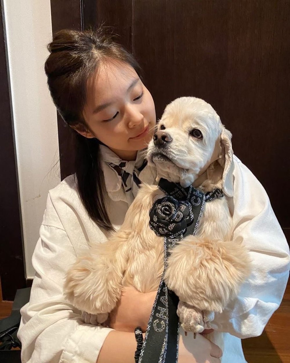  
Cô nàng lấy dây gói quà và hoa trà Chanel để làm phụ kiện sang chảnh cho cún cưng. (Ảnh: Instagram @jennierubyjane)