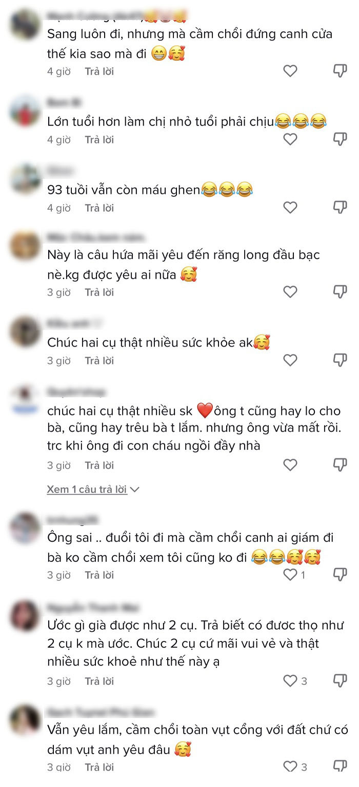  
Nhiều người để lại bình luận ngưỡng mộ tình cảm của hai cụ ông và cụ bà này. (Ảnh: Chụp màn hình N.S.Đ)