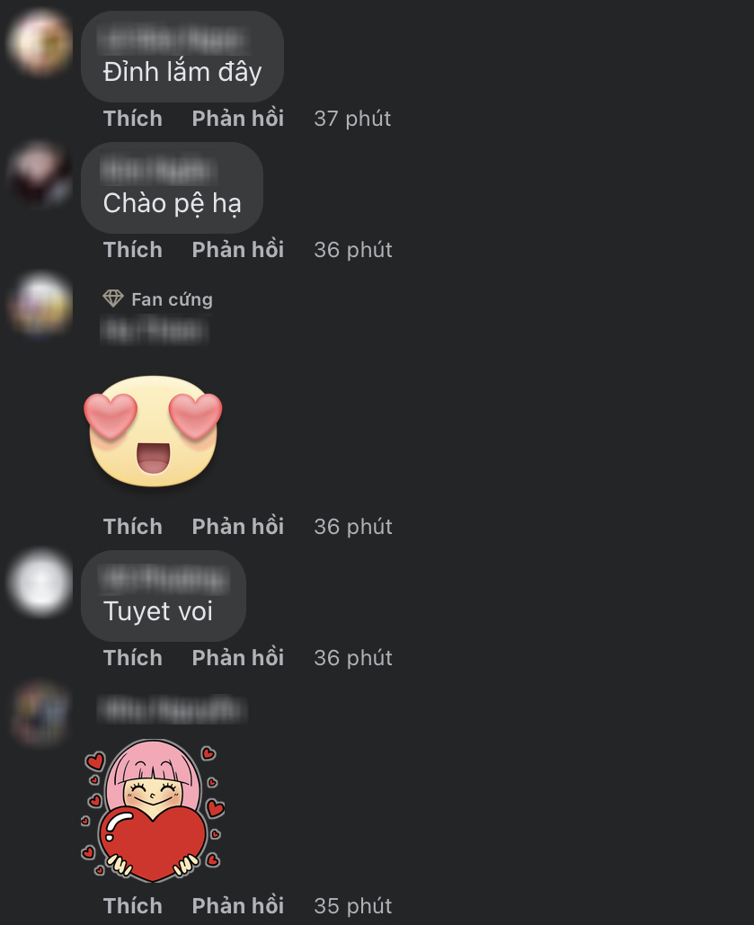  Khán giả ủng hộ Đàm Vĩnh Hưng. (Ảnh: FB Đàm Vĩnh Hưng)
