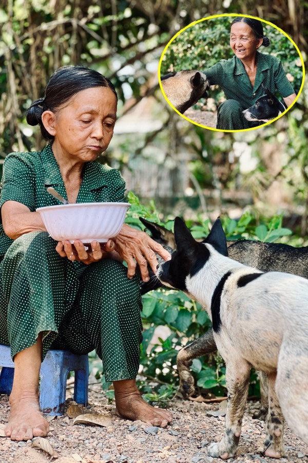  
Người phụ nữ suốt 26 năm cưu mang chó, mèo hoang. (Ảnh: Thanh Niên)